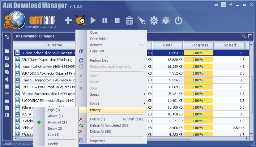 Ant Download Manager Pro Free Download