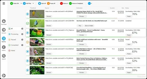 Any Video Downloader Pro Free Download Latest