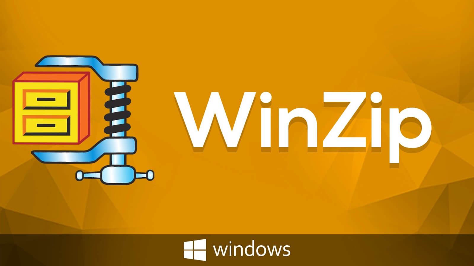 WinZip Pro Free Download Latest Version